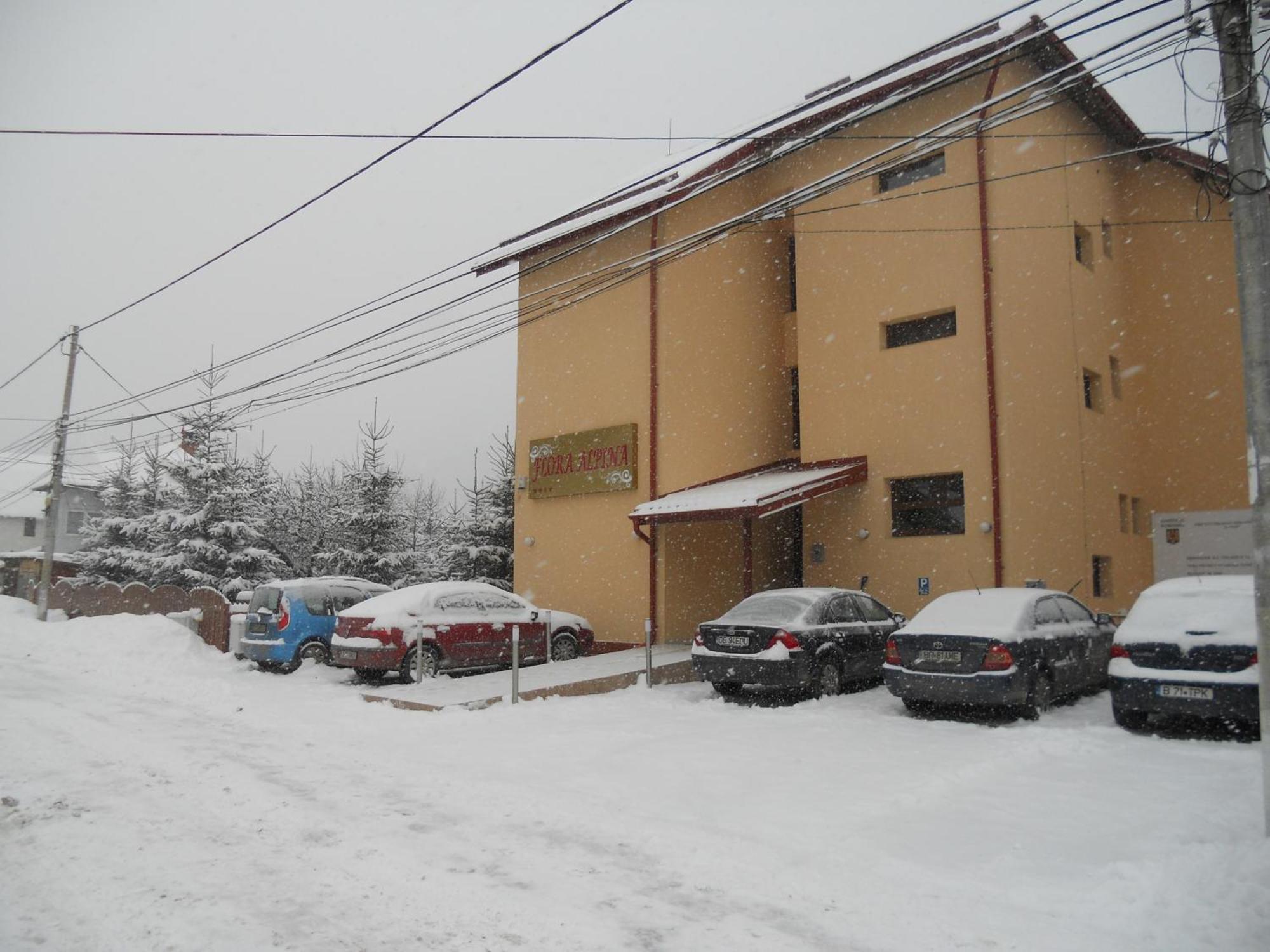 Flora Alpina Hotel Azuga Exterior photo